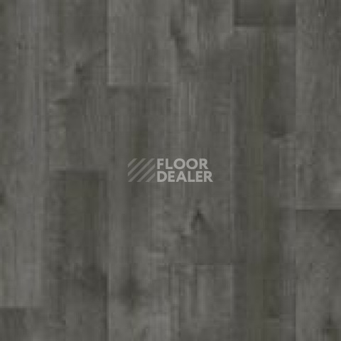 Линолеум Tarkett Bonus DUART 4 фото 1 | FLOORDEALER